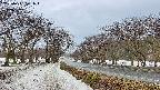 takano1-20250411071017.jpg