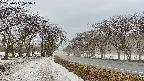 takano1-20250411075016.jpg