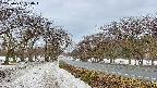 takano1-20250411080017.jpg