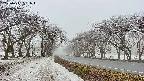 takano1-20250411081017.jpg
