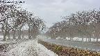 takano1-20250411084017.jpg