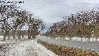 takano1-20250411090016.jpg