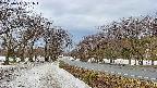 takano1-20250411091018.jpg