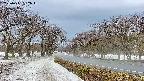 takano1-20250411092016.jpg