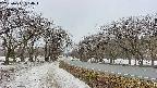 takano1-20250411094017.jpg