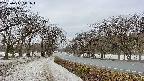 takano1-20250411111016.jpg