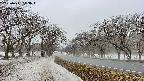 takano1-20250411113019.jpg