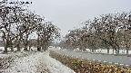 takano1-20250411114017.jpg