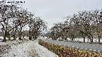 takano1-20250411115017.jpg