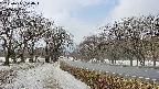 takano1-20250411120017.jpg
