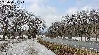 takano1-20250411121017.jpg