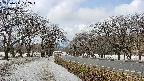 takano1-20250411122018.jpg