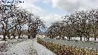 takano1-20250411123017.jpg