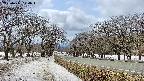 takano1-20250411124017.jpg