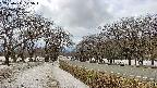 takano1-20250411125018.jpg