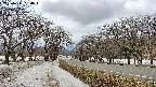 takano1-20250411130018.jpg