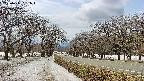 takano1-20250411131018.jpg