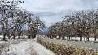 takano1-20250411132017.jpg