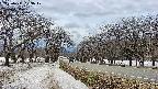 takano1-20250411133018.jpg