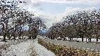 takano1-20250411134018.jpg