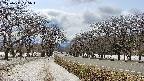 takano1-20250411135018.jpg