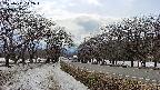 takano1-20250411142017.jpg