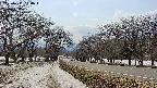 takano1-20250411144017.jpg