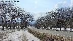 takano1-20250411145015.jpg