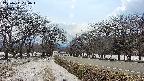 takano1-20250411150017.jpg