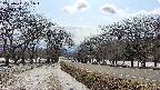 takano1-20250411151017.jpg