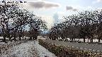 takano1-20250411153016.jpg
