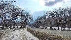 takano1-20250411154017.jpg