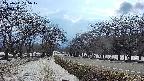 takano1-20250411155018.jpg