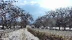 takano1-20250411161018.jpg