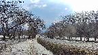 takano1-20250411163017.jpg