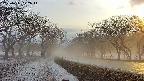 takano1-20250411172015.jpg
