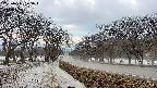 takano1-20250411175017.jpg