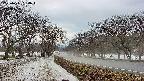 takano1-20250411180017.jpg