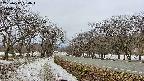 takano1-20250412060017.jpg