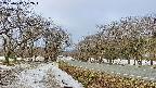 takano1-20250412072017.jpg