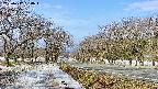 takano1-20250412080016.jpg