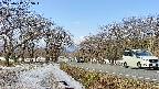 takano1-20250412085017.jpg