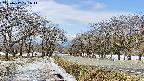 takano1-20250412101015.jpg