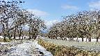 takano1-20250412104017.jpg