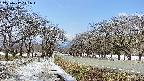 takano1-20250412111016.jpg