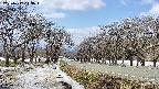 takano1-20250412113016.jpg