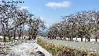 takano1-20250412115016.jpg
