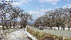 takano1-20250412121016.jpg