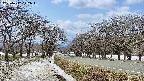 takano1-20250412122017.jpg