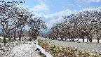 takano1-20250412125016.jpg